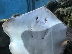 -上海海昌海洋公园