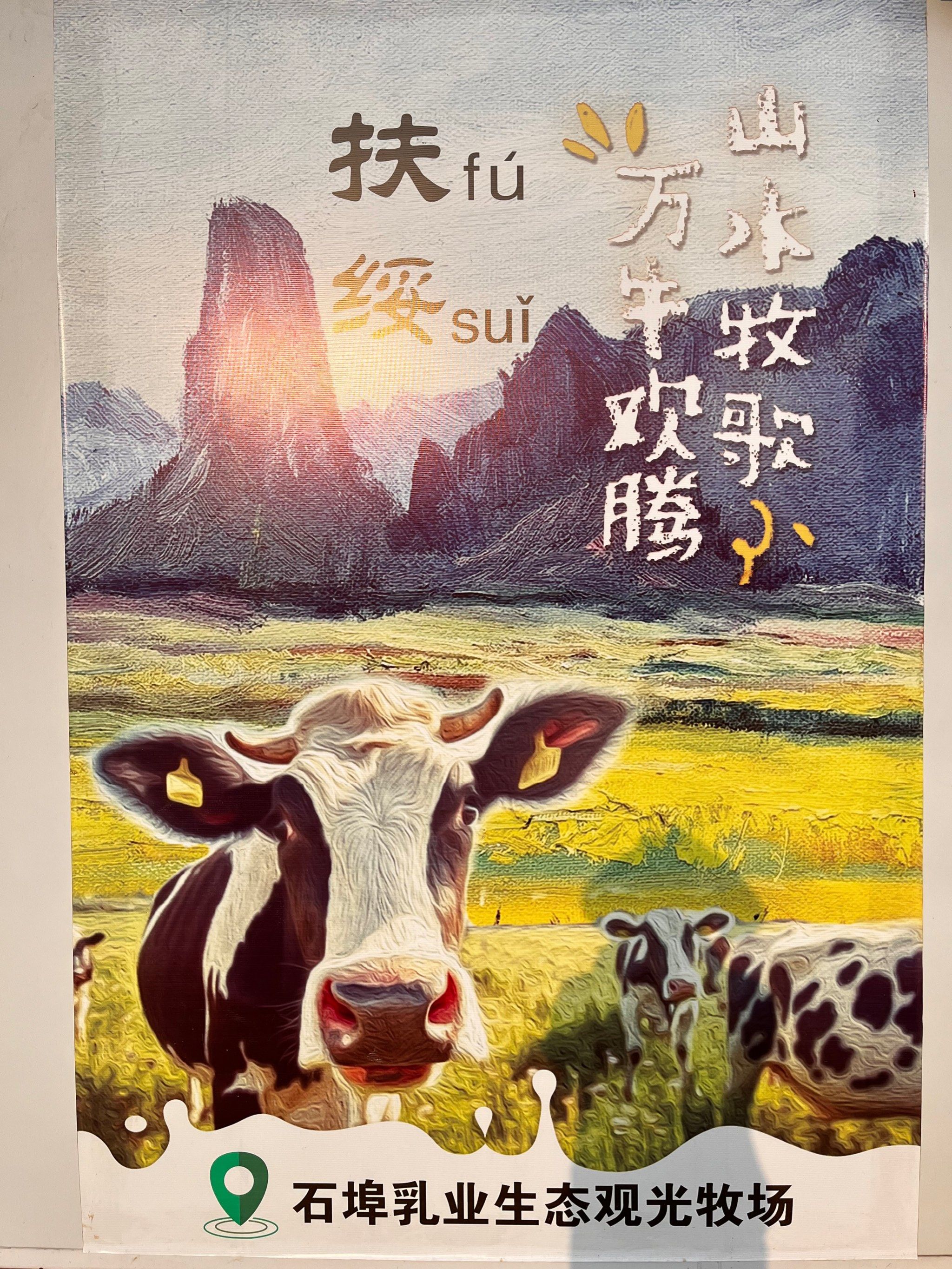 石埠乳业山水牧歌牧场