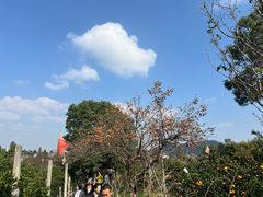 -南北湖风景区