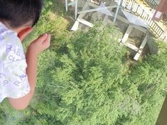 -少华山国家森林公园