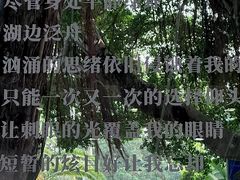-东山湖公园
