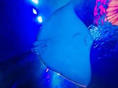 -沈阳海洋探索中心