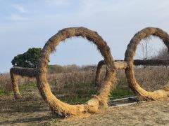 -嘉北郊野公园