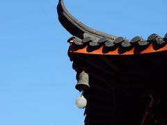 -绳金塔