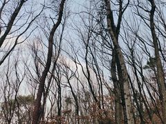 -惠山国家森林公园