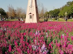 -顺峰山公园