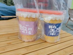 -南澳岛打卡果汁冰公司