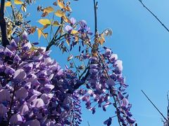 -上海吴淞炮台湾国家湿地公园