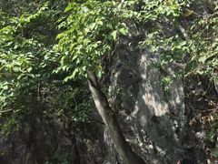 -宁波五龙潭景区