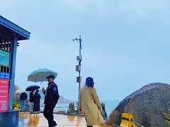 -广东惠东海龟国家级自然保护区