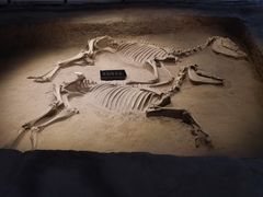 -洛阳周王城天子驾六博物馆