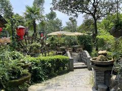 -青城甲(青城山店)