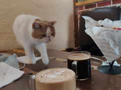 -猫小院猫主题咖啡厅(北锣店)