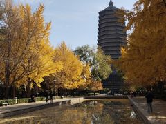 -玲珑塔公园