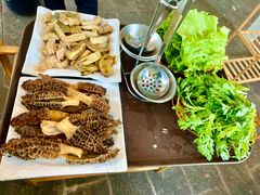 -蘑统田下·野生菌火锅