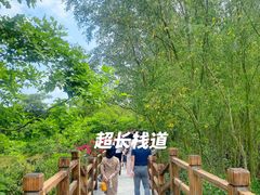 -东寨港红树林旅游区