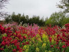 -南汇桃花村