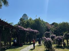 -南宁南湖公园
