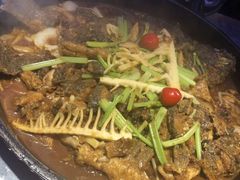 -老板恋上鱼(恒隆广场店)