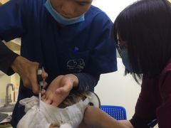 -芭比堂动物医院广州顽皮分院