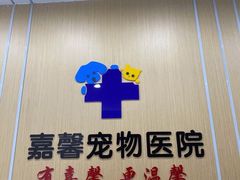 -嘉馨宠物医院·CT影像转诊·心脏科·犬猫全科诊疗中心(下沙大学城院区)