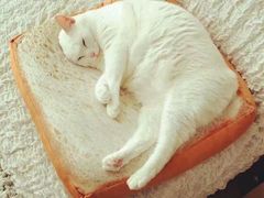 -长发西饼(道前店)