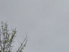 -洛阳市隋唐城遗址植物园