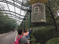 -石家庄市动物园