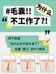 -Bollins波林丝•专研护发中心