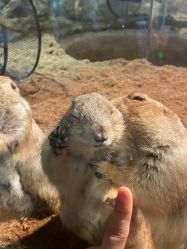 -Zoolung Zoolung动物主题公园(海信广场店)