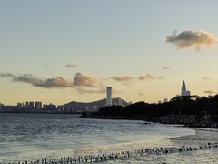 -深圳湾公园(南山区)