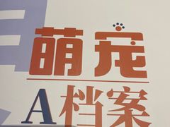 -申普宠物医院·心脏介入·心血管微创(总院)