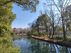 -西溪国家湿地公园