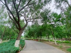 -永定河休闲森林公园