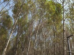 -东郊湿地公园