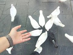 -白鹿原·白鹿仓