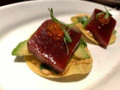 金枪鱼-TOMATITO(无限极荟店)