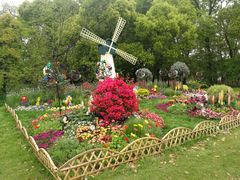 -上海共青森林公园