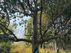 -白塘生态植物园