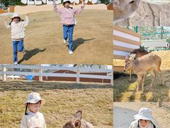 -盈香心动乐园