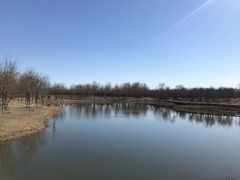 -东郊湿地公园