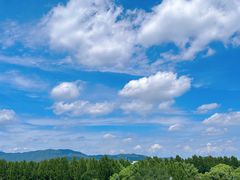 -北京西山国家森林公园