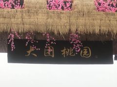 -南汇桃花村