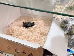 -阿麟馄饨(延长路店)