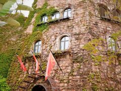 -漳州滨海火山岛自然生态风景区