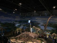 -自贡恐龙博物馆