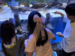 -华夏文旅西安度假区