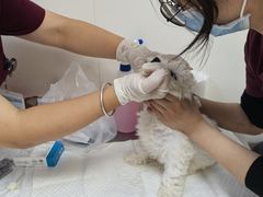 -美联众合动物医院·24h京西诊疗中心