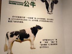 -君乐宝优致牧场