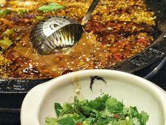 激情椒麻锅-大院河·仙鱼莊(九眼桥店)